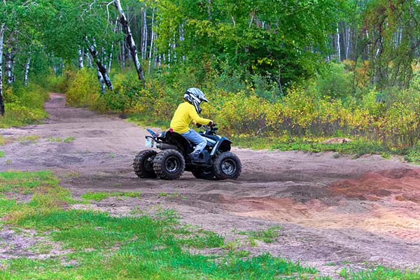 A young kid on an ATV in the woods