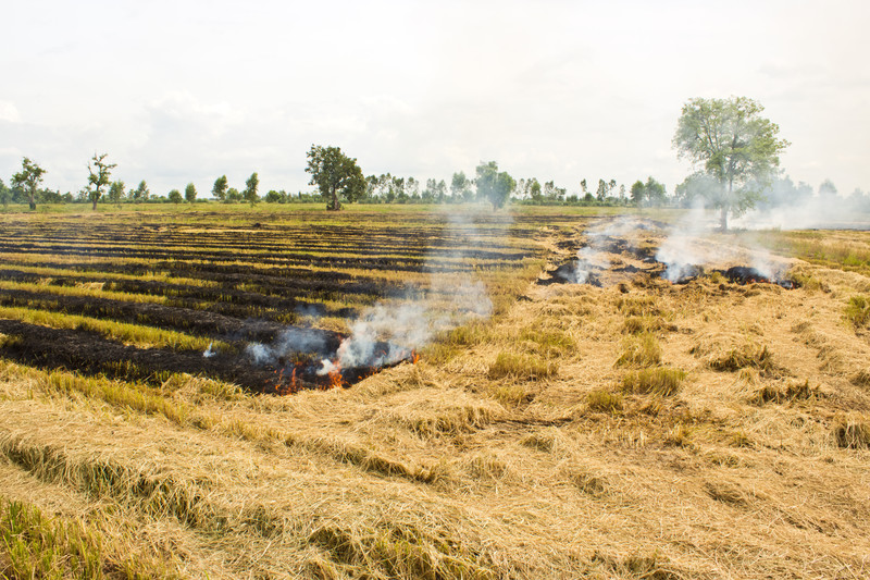 Burning crop fields
