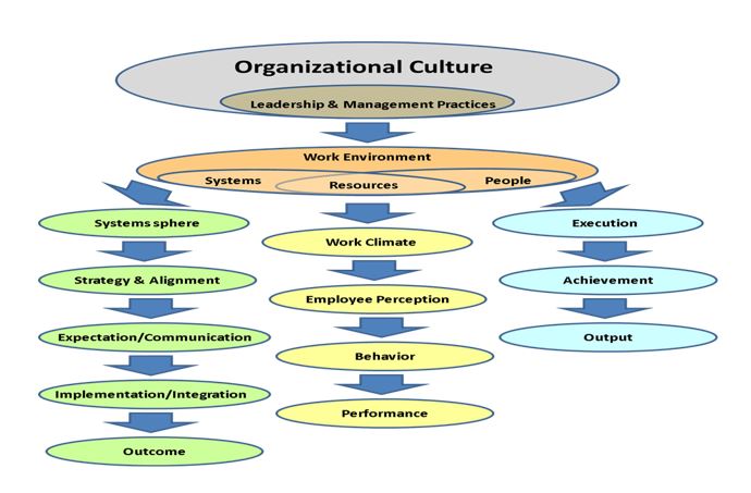 Functioning of Organizational Elements