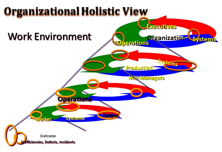Organizational Holistic View