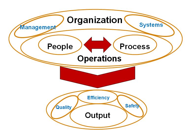 Organization and It's Operational System