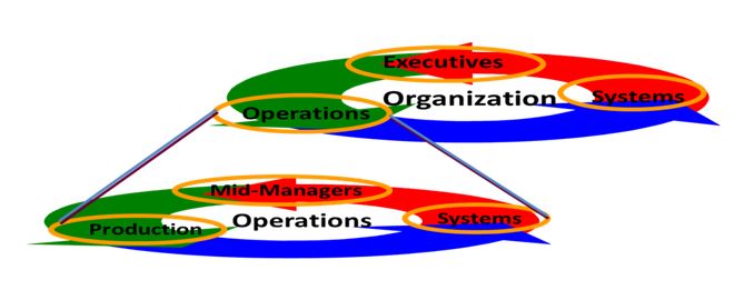 Influence of Organization on Operations