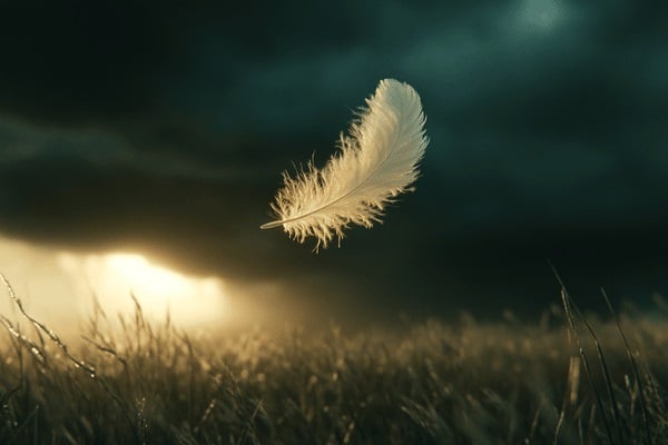 A white feather floats through the air over grass with a dark storm behind it