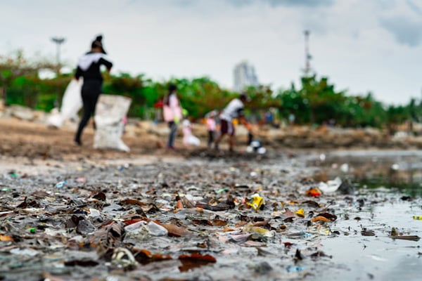 Volunteer beach trash cleanup