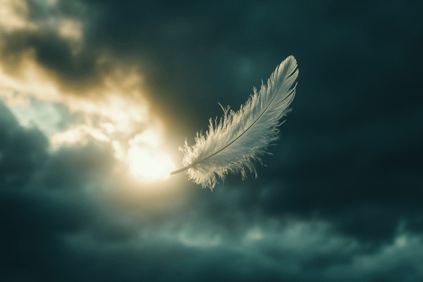 A white feather caught in a sunbeam floats against a backdrop of dark clouds