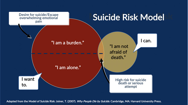 Suicide risk model