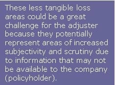 Less tangible loss areas could be challenge for adjuster