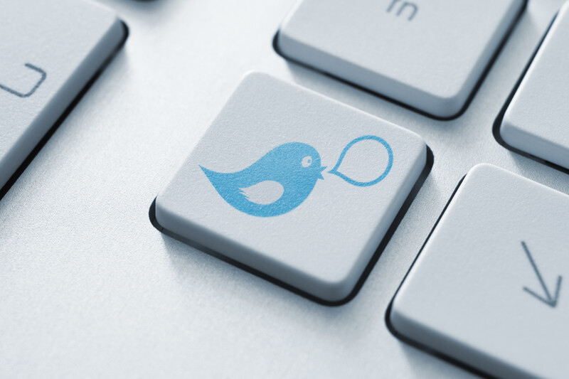 Blue bird with a speech bubble on a keyboard