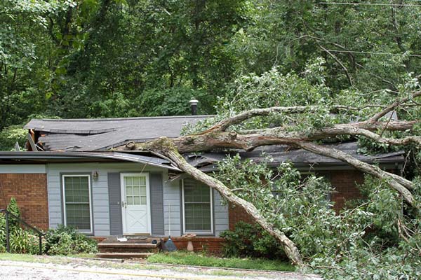 Tree fallen on a house